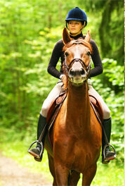 Columbia Shuswap Invasive Species Society