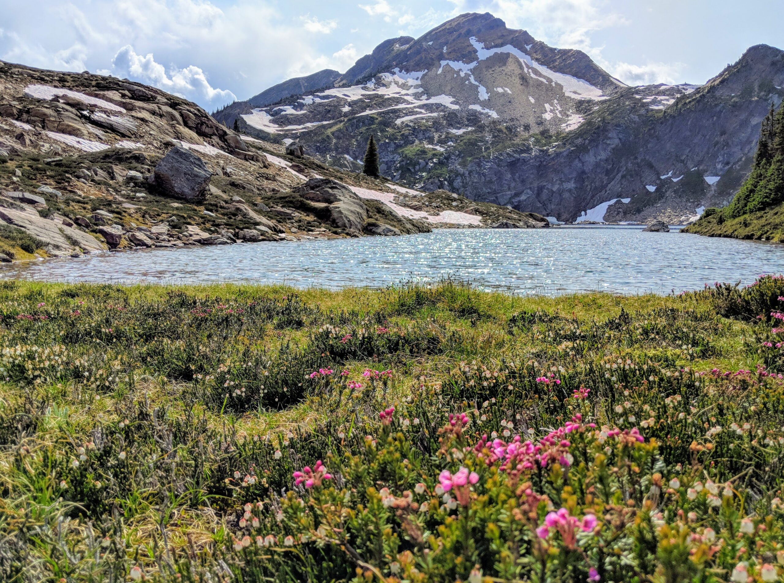 Columbia Shuswap Invasive Species Society