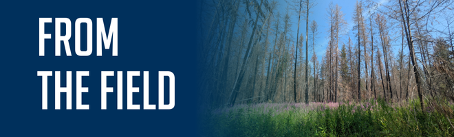 Columbia Shuswap Invasive Species Society