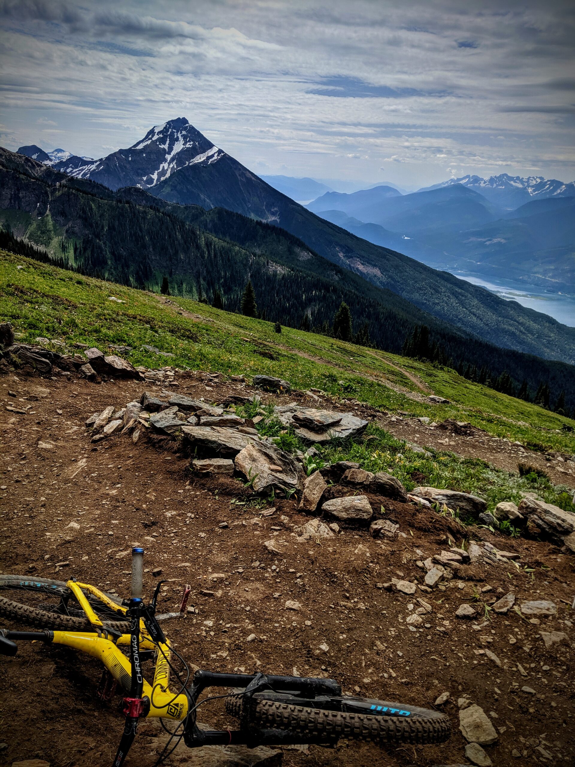 Columbia Shuswap Invasive Species Society