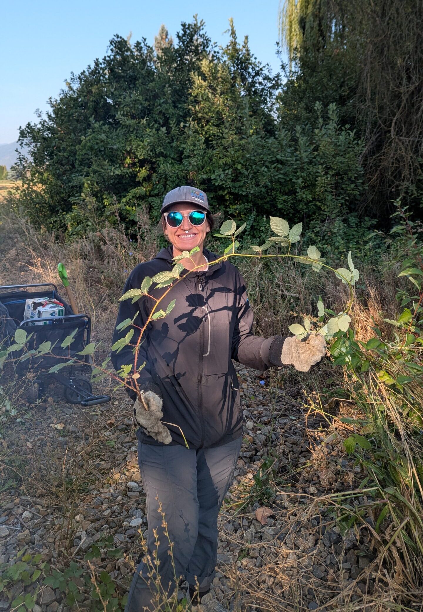Columbia Shuswap Invasive Species Society