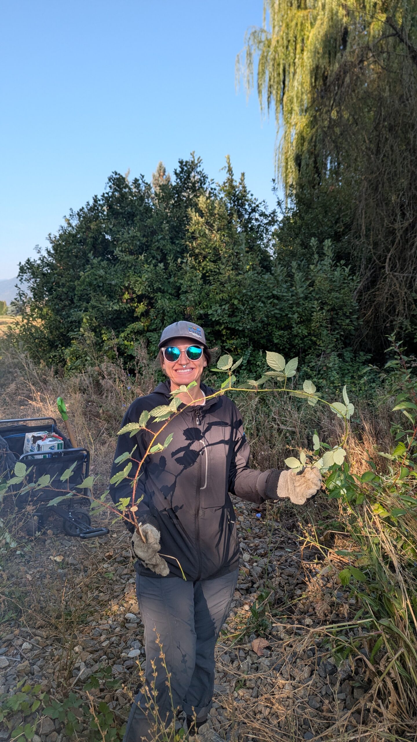 Columbia Shuswap Invasive Species Society
