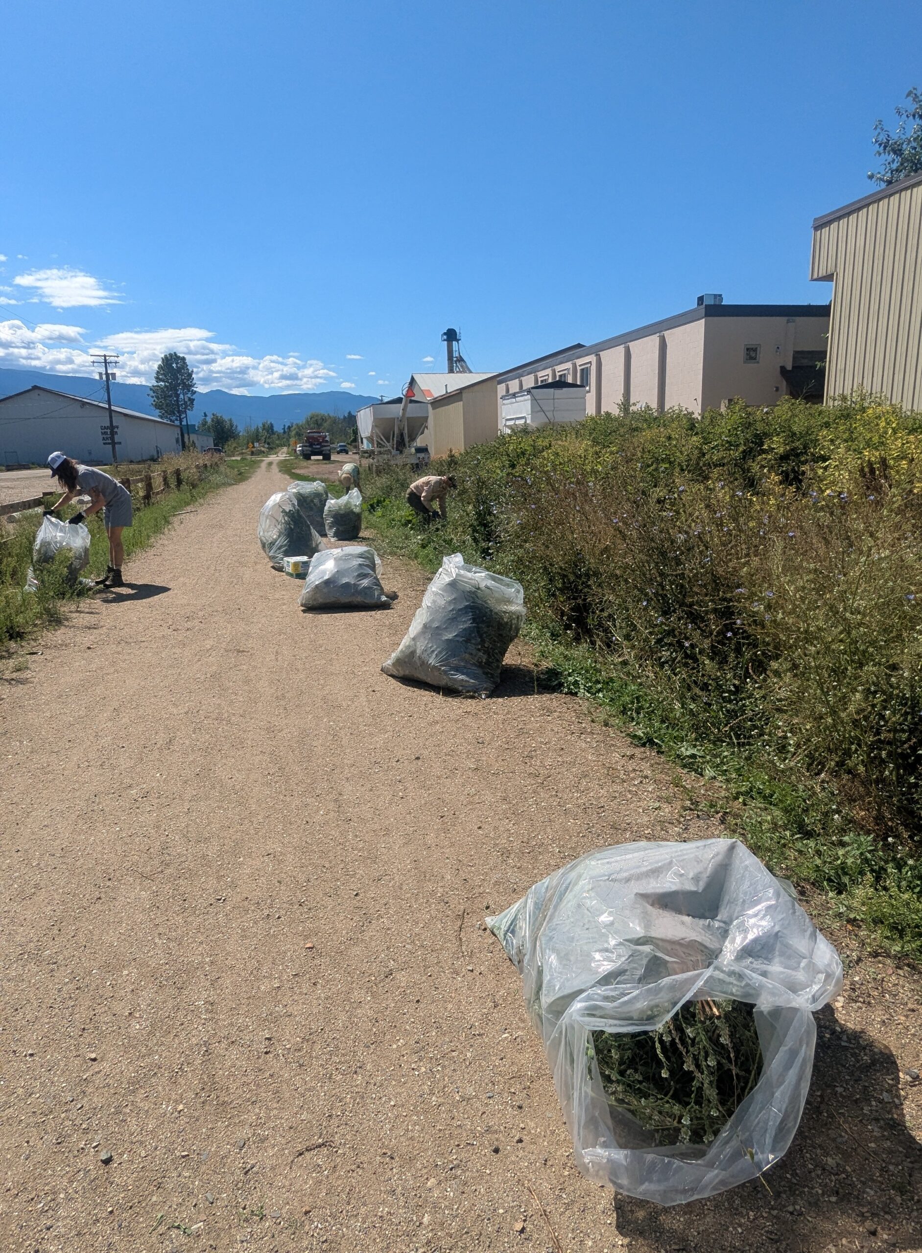 Columbia Shuswap Invasive Species Society