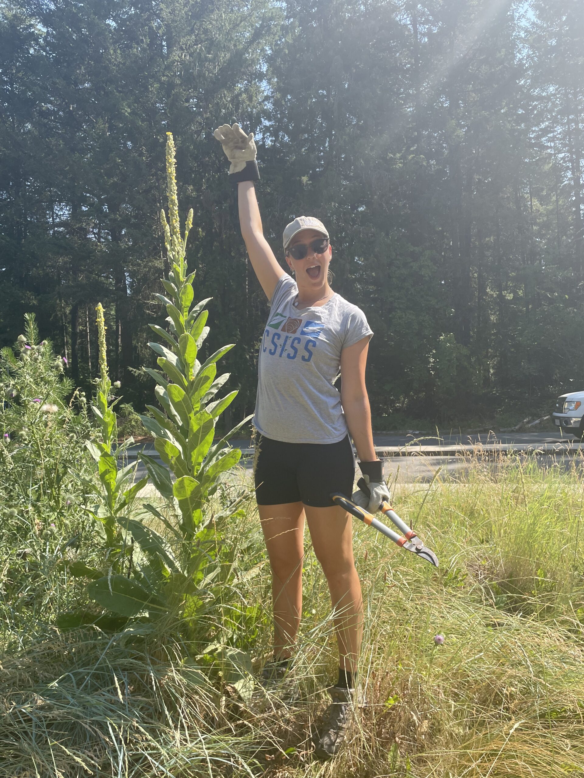 Columbia Shuswap Invasive Species Society