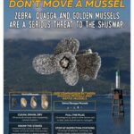 Informational poster on preventing the spread of invasive mussels. 