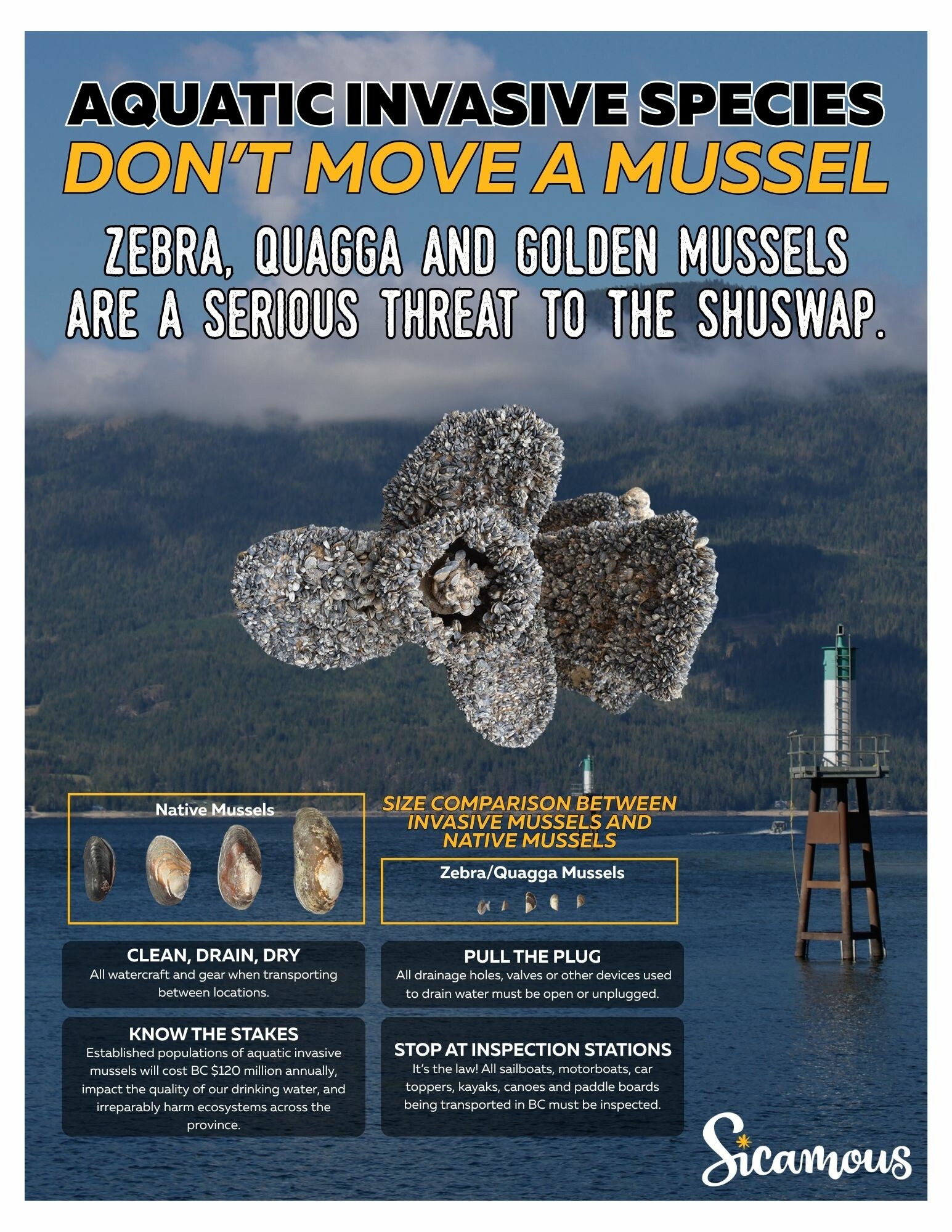 Informational poster on preventing the spread of invasive mussels.