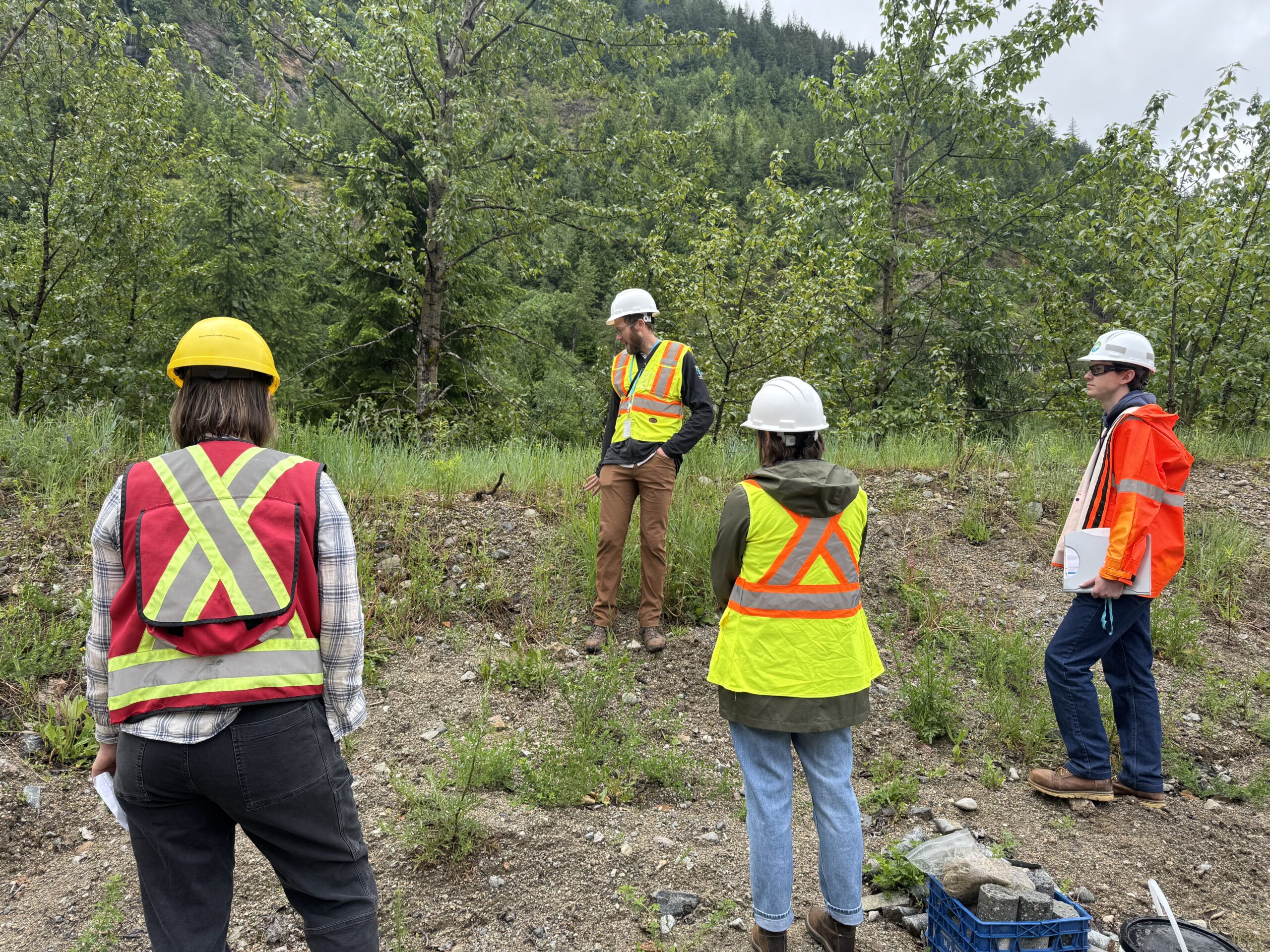 Workers in high visibility vests and hard hats attending staff training in an open field with forest behind.