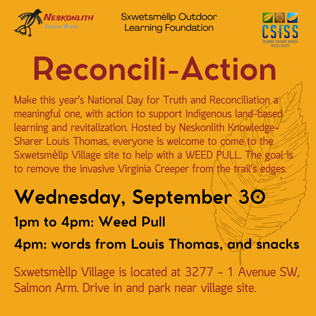 Reconcili-Action Weed Pull Wednesday, September 30th from 1-4pm at Sxwetsmellp Village, 3277 - 1 Avenue SW, Salmon Arm